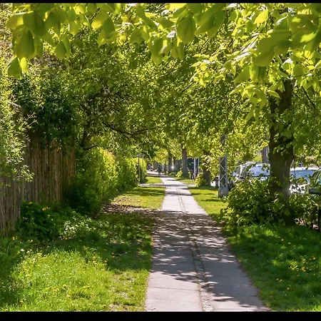 Oaky Apartament *
